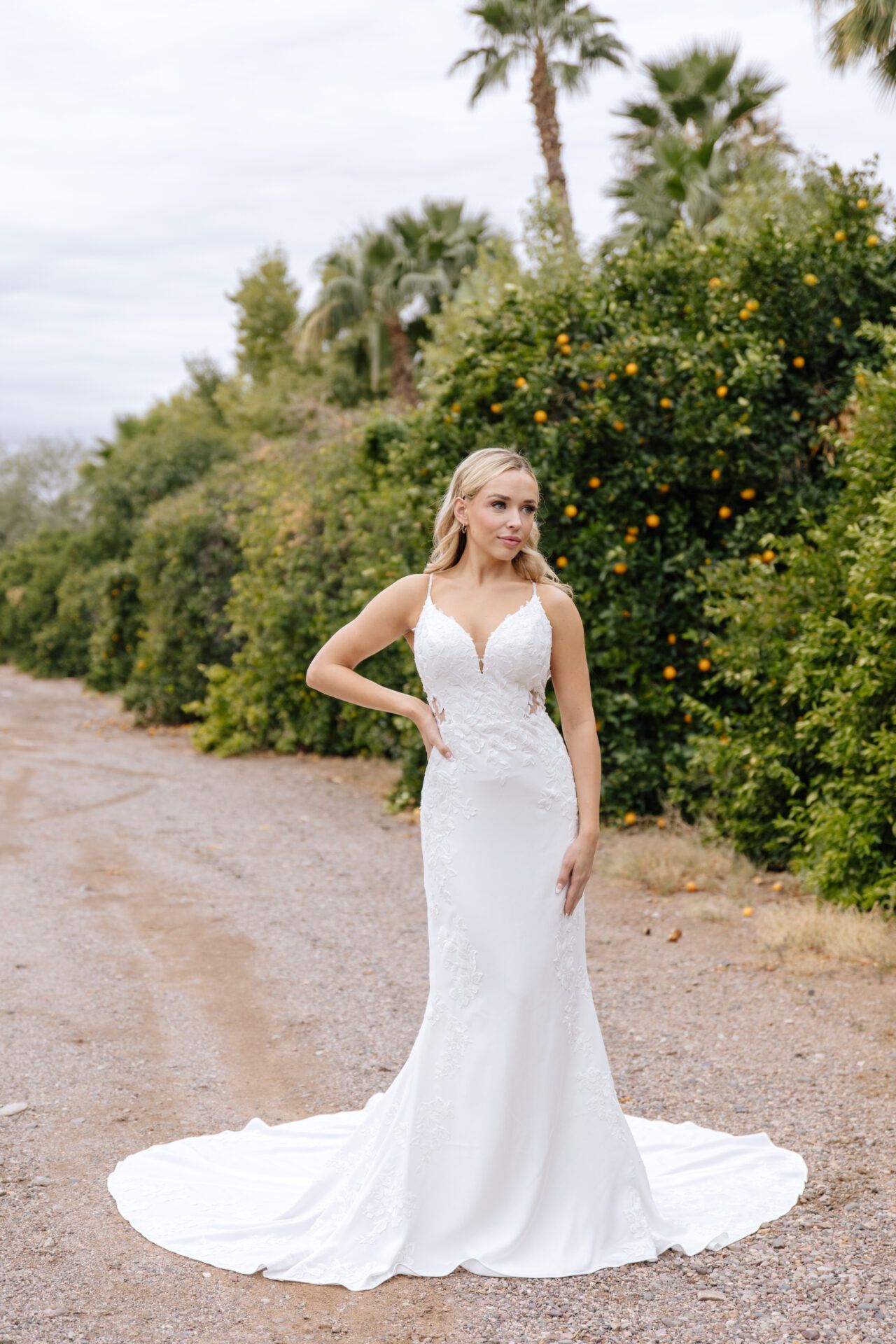 Stella York 7855