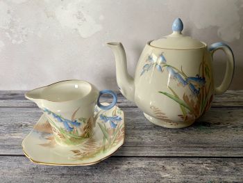 Shelley Bluebells Teapot Set