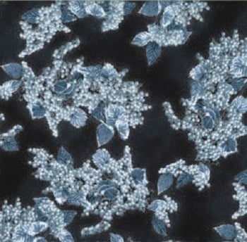 Hoffman Fabric - Still of the Night - Christmas Leaves & Berries - Midnight/Silver - 100% Cotton