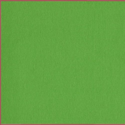 Stretch Ribbing/Collar/Cuff Fabric - Plain Green HW - 95% Cotton 5% Lycra H