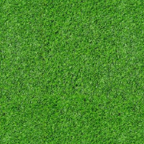Timeless Treasures Fabric - Football Field Grass - 100% Cotton - 1/4m+
