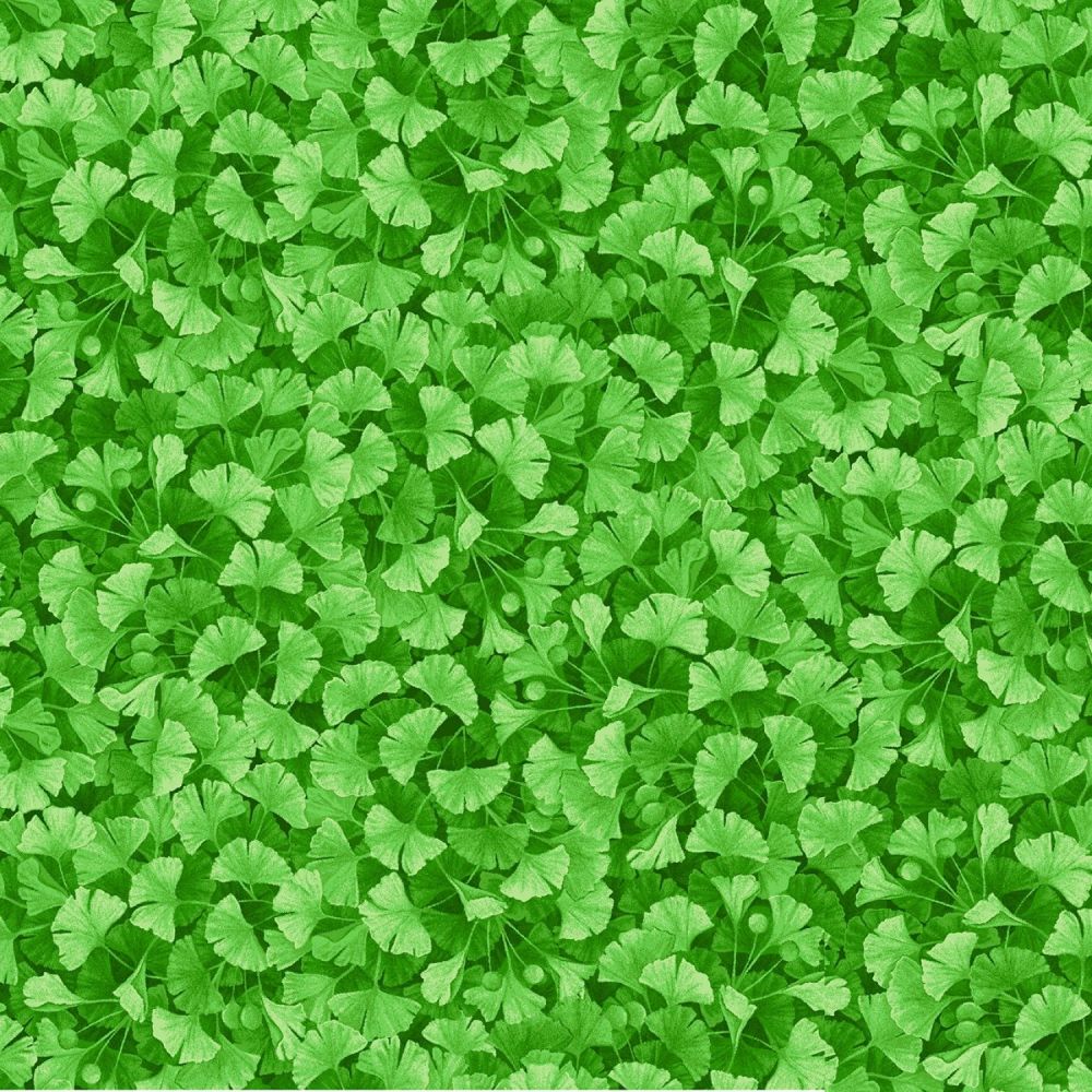 Timeless Treasures Fabric - Forest Magic - Leaves - Green - Digital - 100% Cotton - 1/4m+