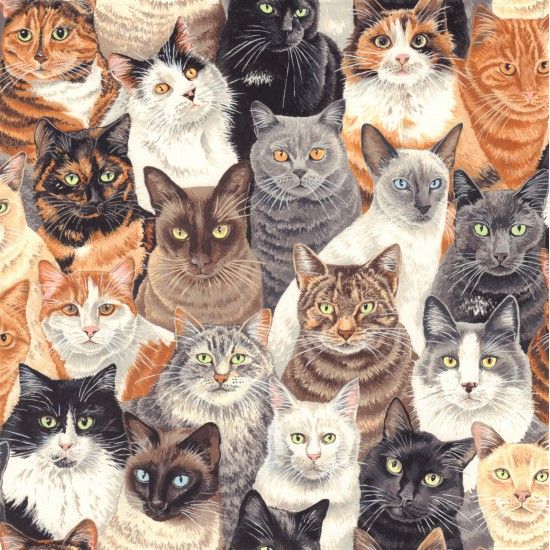 Nutex Fabric - Crowded Cats - 100% Cotton - 1/4m+