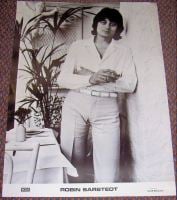 ROBIN SARSTEDT STUNNING RARE U.K. DECCA RECORD COMPANY PROMO POSTER FROM 1976