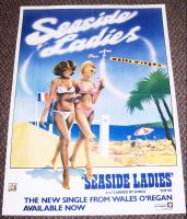 WALES O'REGAN RARE U.K. RECORD COMPANY PROMO POSTER 'SEASIDE LADIES' SINGLE 1977