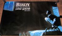 GENESIS PETER GABRIEL STUNNING U.K. PROMO POSTER "BIRDY" SOUNDTRACK ALBUM 1985