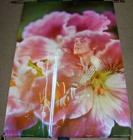 DONOVAN JIM MARSHALL STUNNING RARE 'CELESTIAL ARTS' U.S. PERSONALITY POSTER 1970