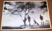 JOSEF K U.K. PHOTO PRINT OF THE SHELVED DEBUT ALBUM "SORRY FOR LAUGHING" 1981