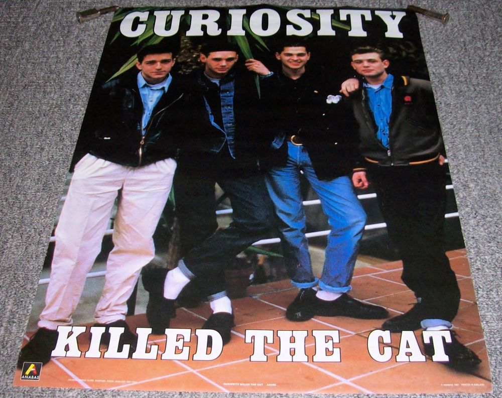 CURIOSITY KILLED THE CAT MINT DUTCH ANNABAS PERSONALITY POSTER No.AA280 198