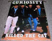 CURIOSITY KILLED THE CAT MINT DUTCH ANNABAS PERSONALITY POSTER No.AA280 1987