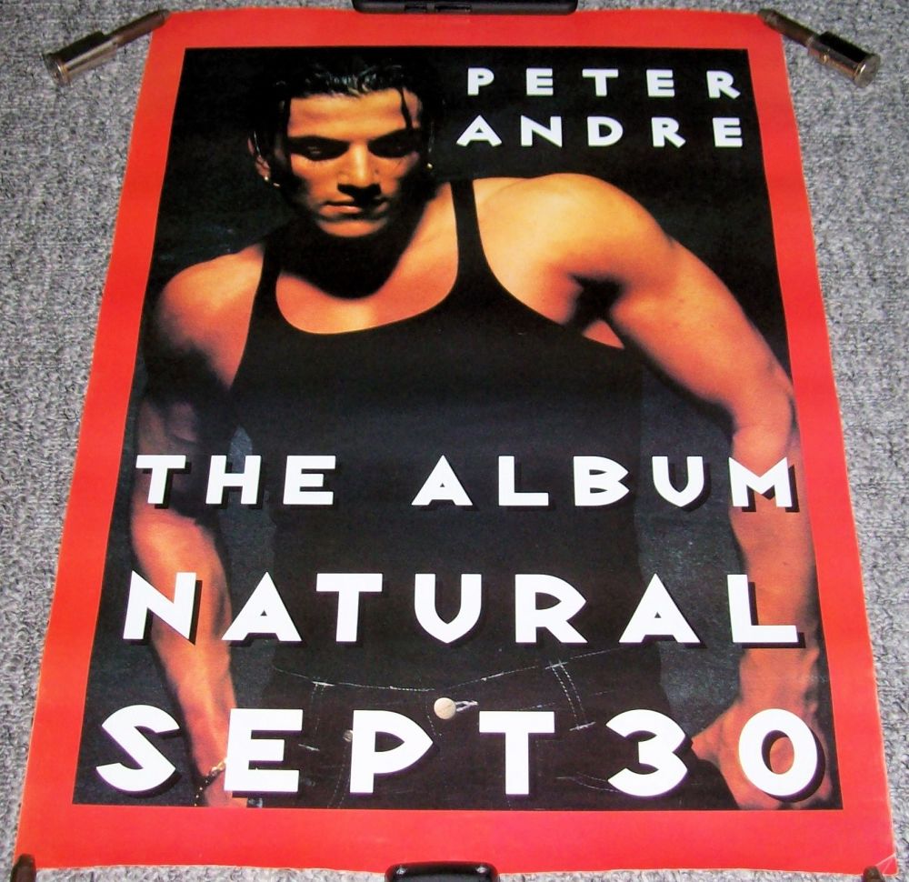 PETER ANDRE SUPERB RARE U.K. RECORD COMPANY PROMO POSTER 