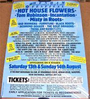 TOM ROBINSON HOTHOUSE FLOWERS BAD MANNERS HENHAM MUSIC FESTIVAL POSTER AUG 1994