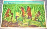 BRITISH EMPIRE MARKETING BOARD RARE POSTER 'SISAL IN EAST AFRICA' 1920's-1930's