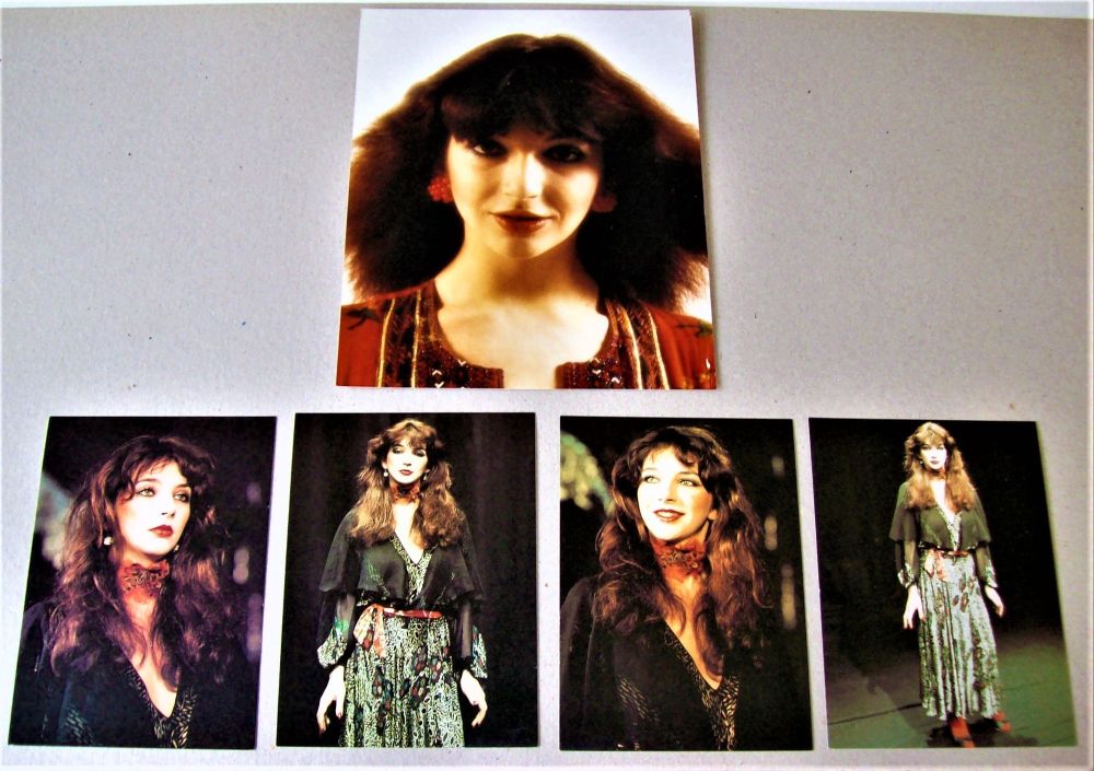 KATE BUSH GORGEOUS FULL COLOUR SET OF FOUR POSTCARDS & PHOTOGRAPH 1970's-19