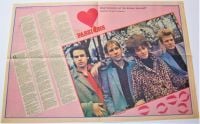 THE PASSIONS RARE CENTRE SPREAD POSTER-ARTICLE RECORD MIRROR FEBRUARY 14th 1981