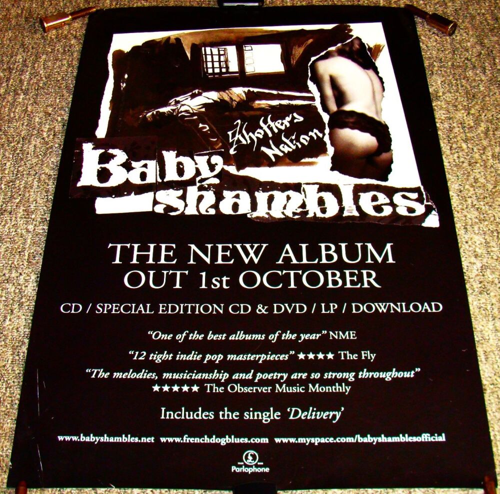 BABYSHAMBLES RARE U.K. RECORD COMPANY PROMO POSTER 'SHOTTER'S NATION' ALBUM