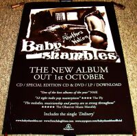 BABYSHAMBLES RARE U.K. RECORD COMPANY PROMO POSTER 'SHOTTER'S NATION' ALBUM 2007