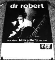 THE BLOW MONKEYS DR. ROBERT UK REC COM PROMO POSTER 'BIRDS GOTTA FLY' ALBUM 2001