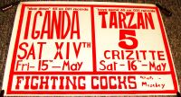 TARZAN 5 IGANDA SAT XIVth SUPERB CONCERTS POSTER MAY 1981 FIGHTING COCKS MOSELEY