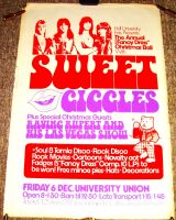SWEET GIGGLES RAVING RUPERT SUPERB RARE CONCERT POSTER FRI 6th DEC 1974 HULL UNI