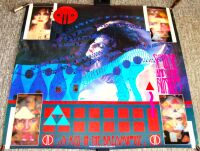 SIOUXSIE & THE BANSHEES U.K. PROMO POSTER 'A KISS IN THE DREAMHOUSE' ALBUM 1982