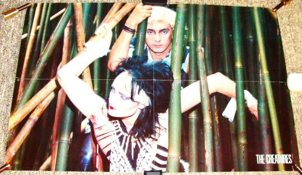 SIOUXSIE THE CREATURES REALLY SUPERB RARE U.K. RECORD COMPANY PROMO POSTER 