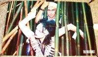SIOUXSIE THE CREATURES REALLY SUPERB RARE U.K. RECORD COMPANY PROMO POSTER 1981