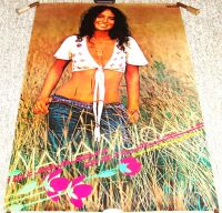 MARIA MULDAUR STUNNING RARE U.K. RECORD COMPANY PROMO POSTER DEBUT ALBUM 1973
