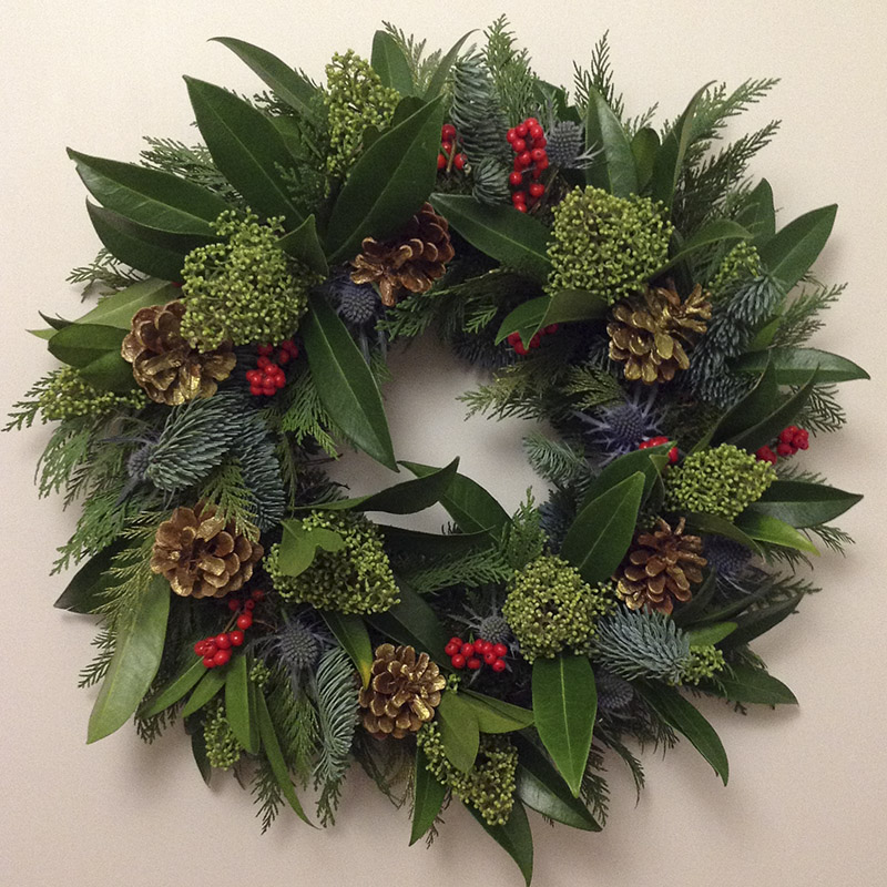 Skimmia and acorns and ilex verticillata