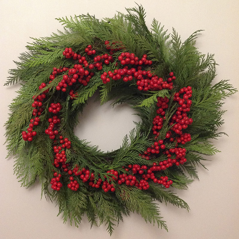 Fir and Ilex verticillata