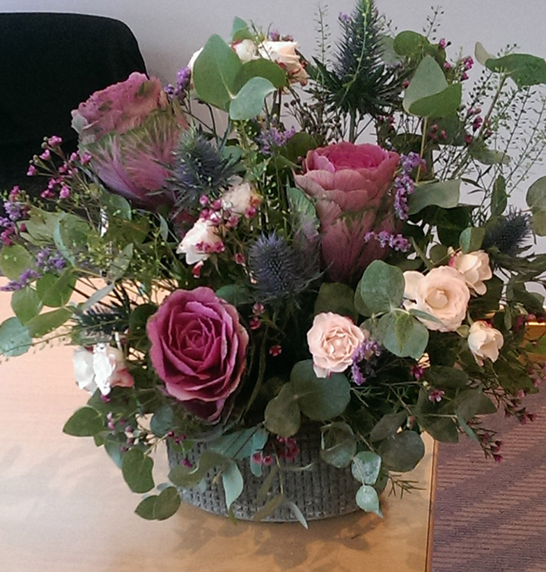 Brassica arrangement