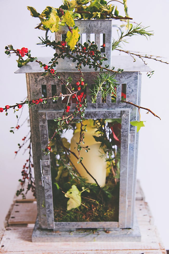 Autumn winter ivy and candle display