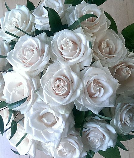 Norma jean white roses