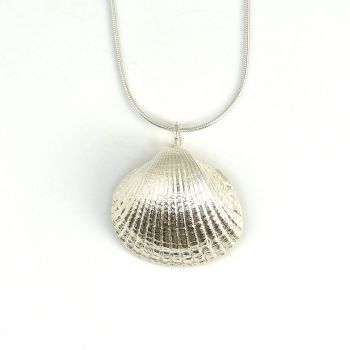 Sterling Silver Cockle Shell Pendant Necklace - Medium Cockle Shell