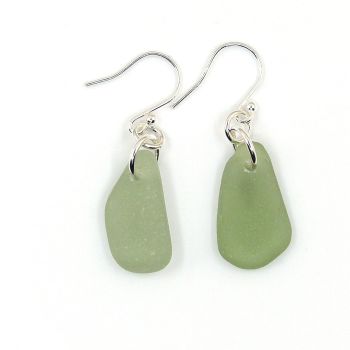 Sage Green Sea Glass and Sterling Silver Earrings e309
