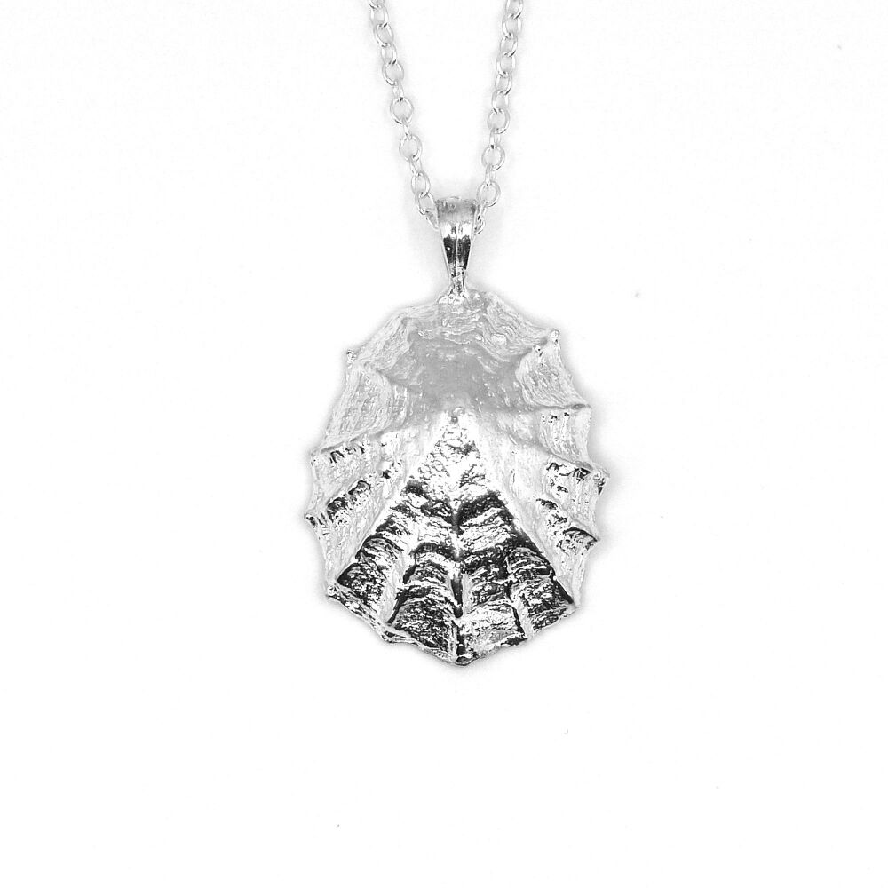 Sterling Silver Limpet Seashell Pendant Necklace Hallmarked - Large Limpet Shell