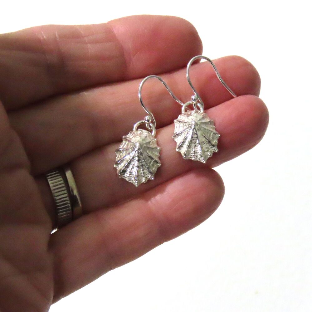 Sterling Silver Limpet Shell Drop Earrings