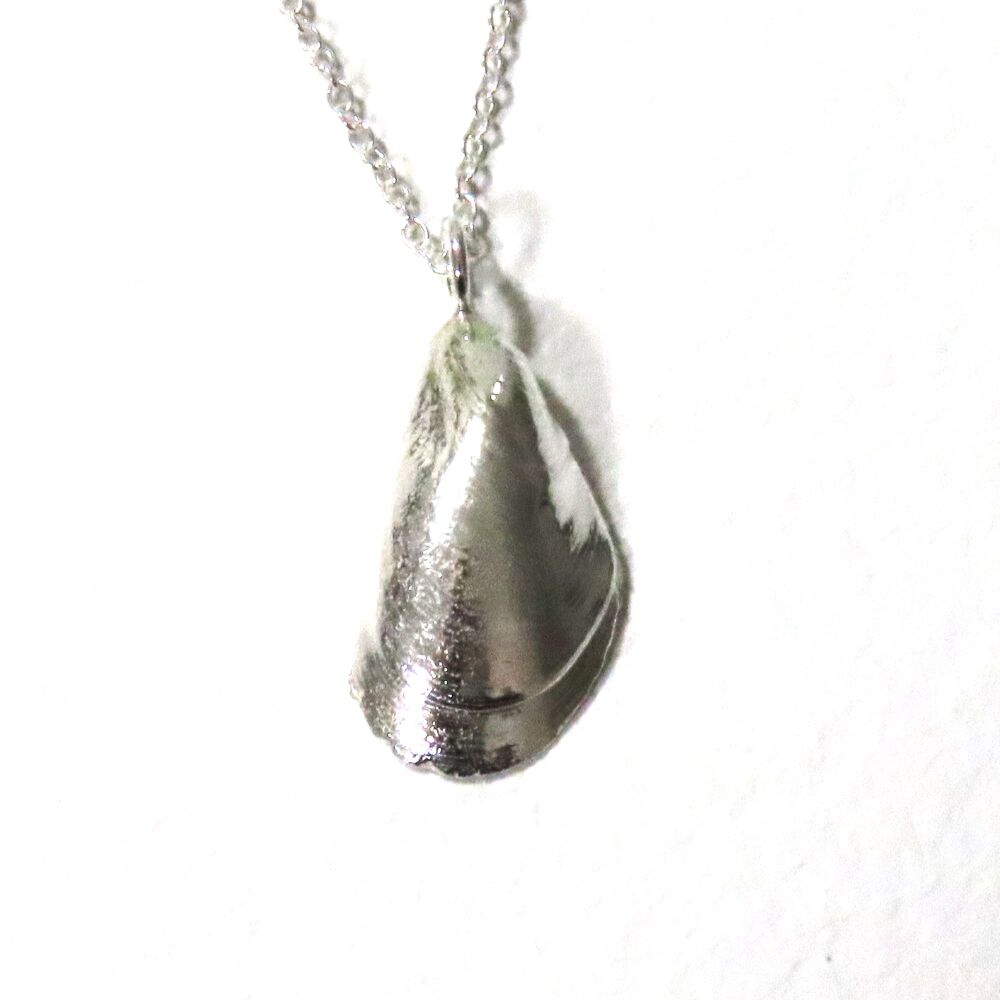 Sterling Silver Mussel Shell Pendant Necklace - Small Mussel Shell