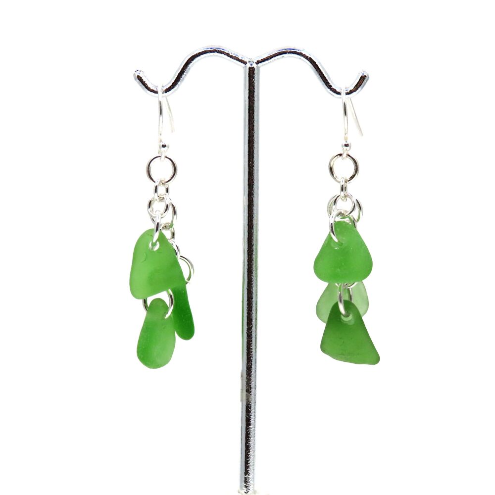 Shades of Green Sea Glass Cluster Earrings e397