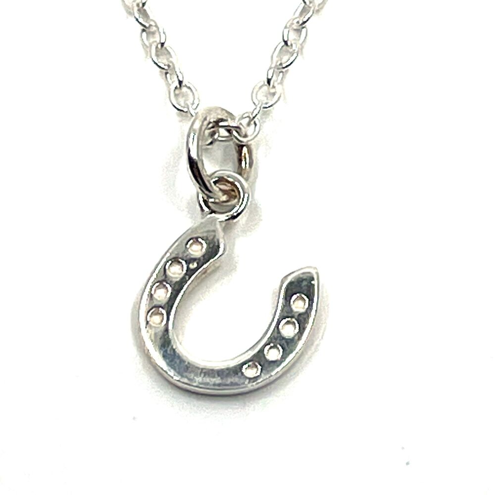 Sterling Silver Horseshoe Necklace
