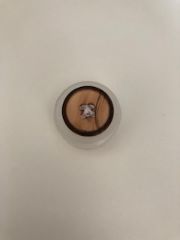 Brown Edged 4-Hole Button