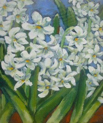 hyacinth 1
