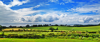 Strangford Lough