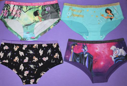 45 ladies assorted character briefs