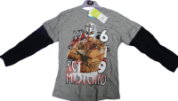 12 WWE Boys Mysterio Long Sleeved T-shirts.NOW HALF PRICE £1.00