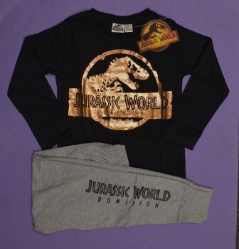 12 Jurassic World Dominion Gold Logo PJ