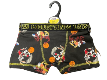 18 Pairs Of Boys Looney Tunes Boxer Pants