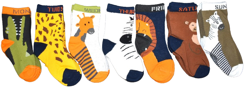 21 Boys Animal Weekday Socks Sized 3-5