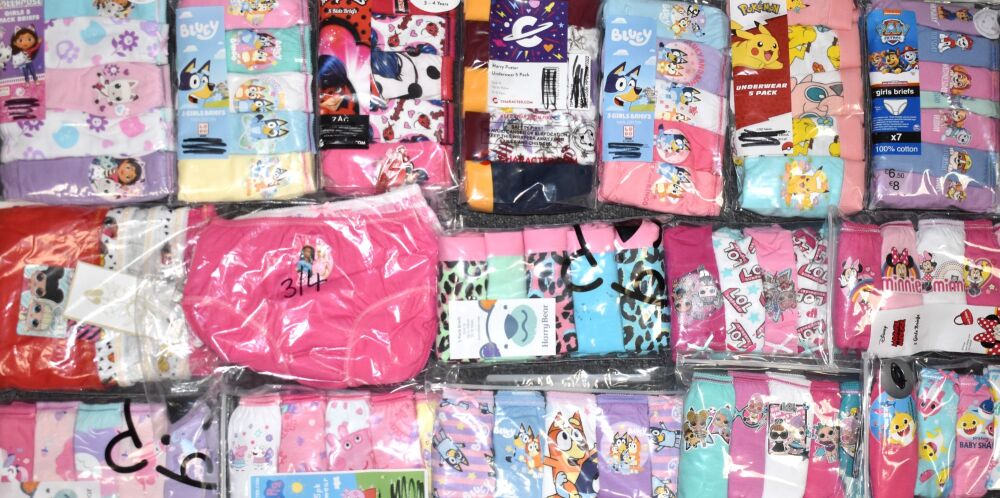 36 Girls 5Pack Character Briefs