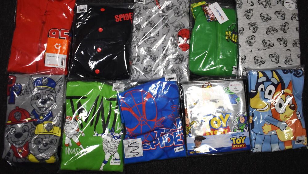 15 Boys Assorted Character Sweatshirts/Hoodies